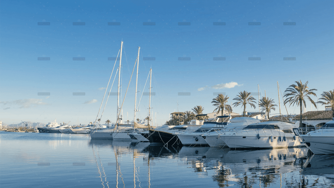 demo-attachment-648-Image-2